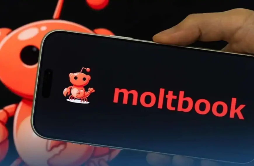 Moltbook, le réseau social où les intelligences artificielles parlent entre elles