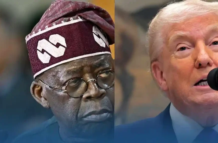 Afrique 7 Nigeria premières troupes américaines déployées dans le nord du pays