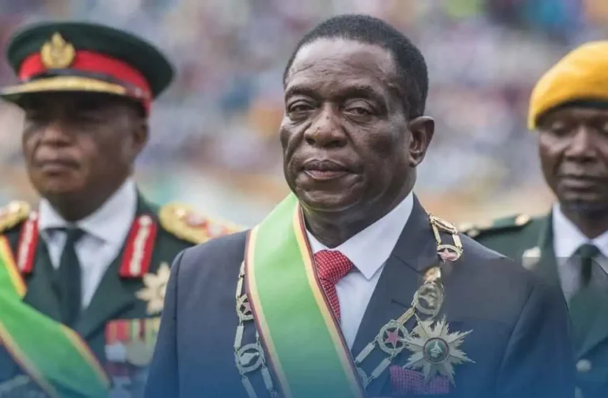 Ce que l’on sait du refus du Zimbabwe d’un financement américain de 367 millions de dollars pour sa santé publique