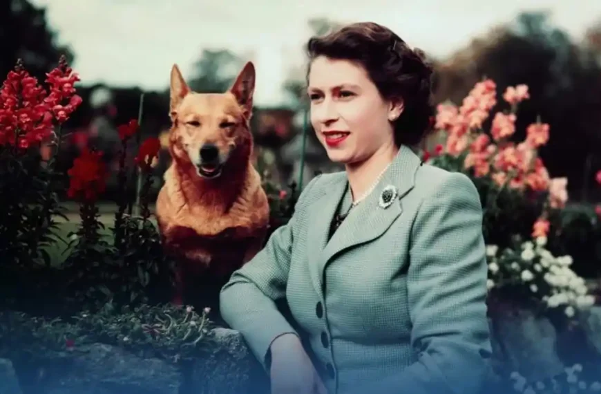 Elizabeth II, une biographie officielle pour éclairer un règne hors norme