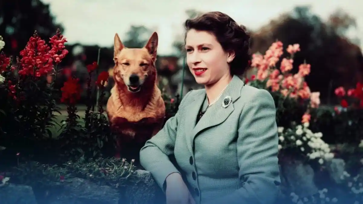 Elizabeth II, une biographie officielle pour éclairer un règne hors norme
