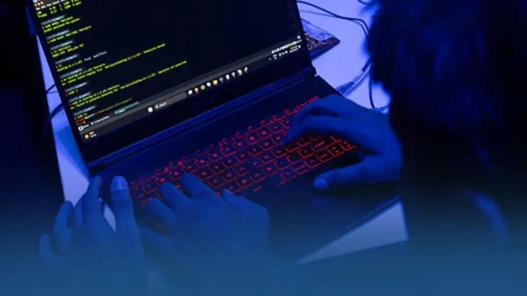 Cyberattaque du fisc qui se cache derrière « ZeroBytes », le duo qui revendique le vol de données