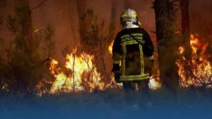 Incendies en France 117 000 hectares brûlés et plus de 300 suspects interpellés