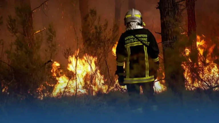 Incendies en France 117 000 hectares brûlés et plus de 300 suspects interpellés