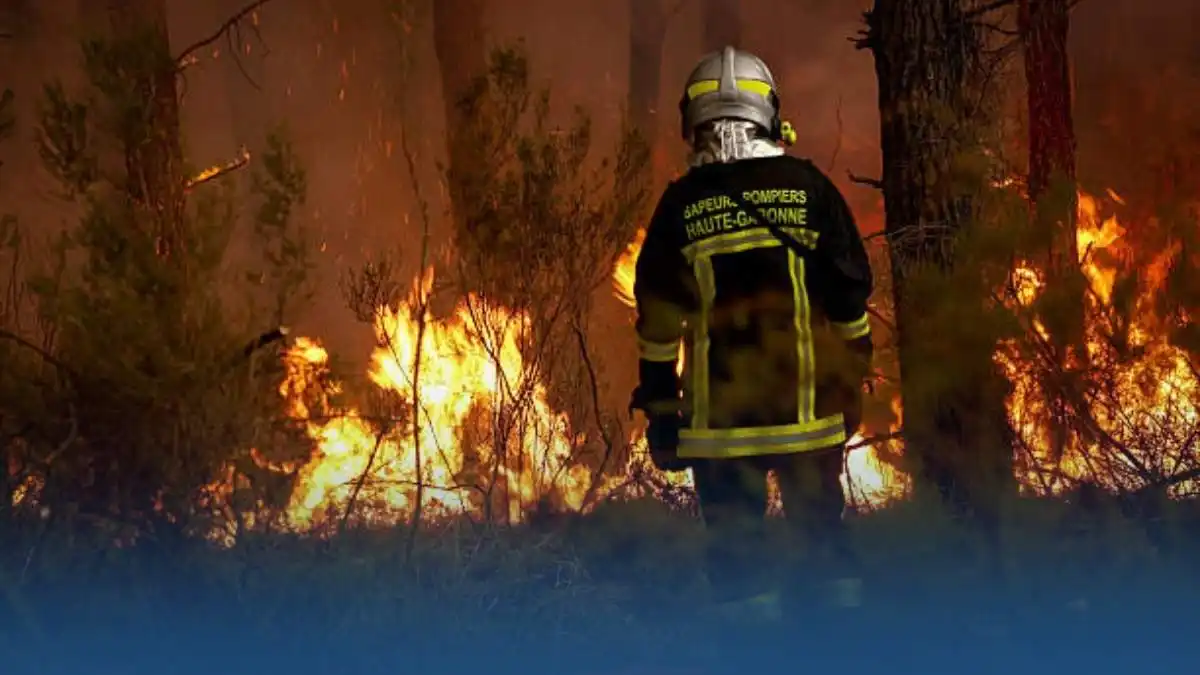 Incendies en France 117 000 hectares brûlés et plus de 300 suspects interpellés