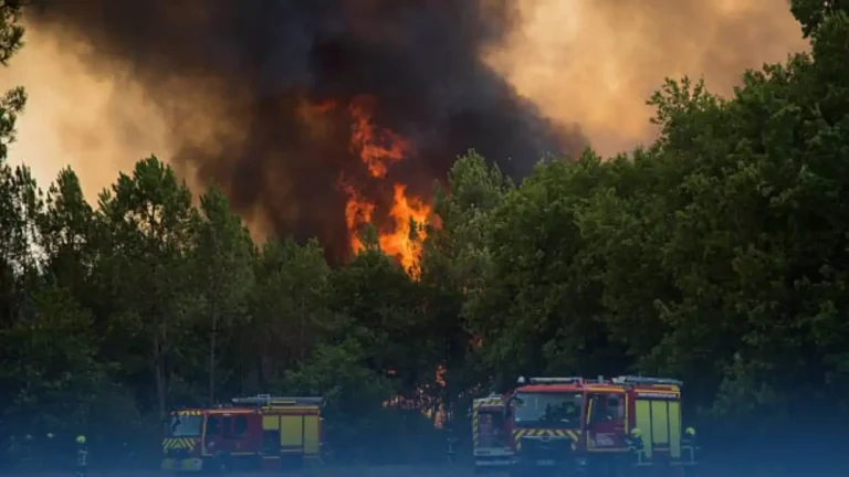 Incendies en France nouvelle reprise dans le Var, retour progressif des habitants en Gironde